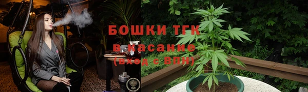 эйфоретик Аркадак
