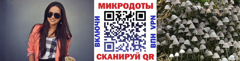 блэк спрут ССЫЛКА  Лукоянов  Галлюциногенные грибы мицелий  закладка 